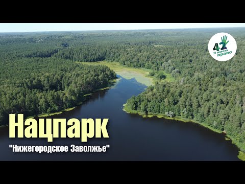 Национальный парк Нижегородское Заволжье, отвечаем на вопросы