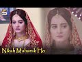 Watch Nikah Mubarak Ho - Aiman Khan - Best Scene - ARY Digital Online In Hd