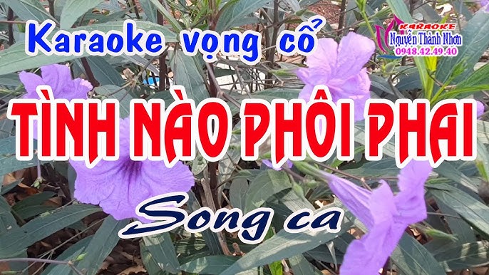 Karaoke vọng cổ TÌNH NÀO PHÔI PHAI - SONG CA [T/g Nhiệm Lê]