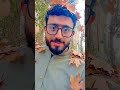 Autmn Leaves #viral #foryou #viralvideo #foryou #autmn