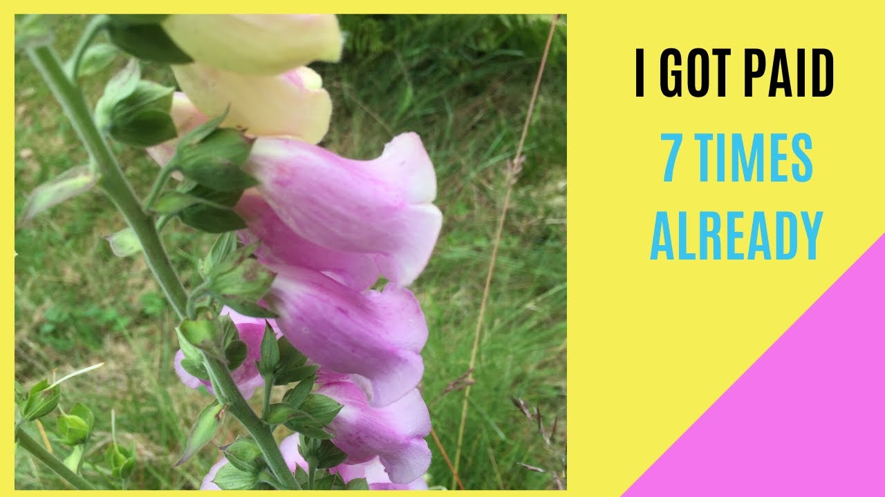 Successful Solution Method Pays Best Work from Home Business