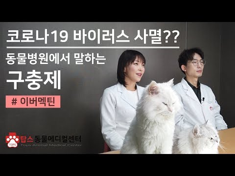 동물병원에서 말하는 #이버멕틴 #코로나19치료 #구충제 #ivermectin