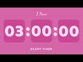 3 Hour Silent Timer | Cute Ending Alarm | Pastel Pink Aesthetic | Study & Focus