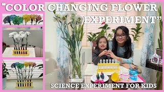 Color Changing Flower Experiment | Science Experiment for Kids
