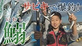 豊間付近を散歩した 豊間はまなす公園 福島県いわき市平 21年4月10日撮影 Youtube