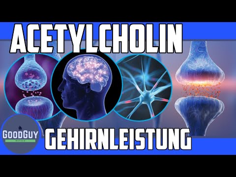 Video: Würde aus der Hemmung der Acetylcholinesterase resultieren?