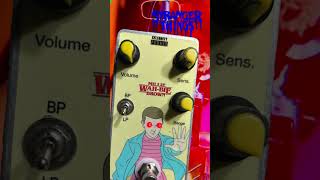 Every Bassist Needs an Envelope Filter #celebritypedals