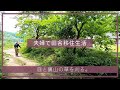 【夫婦で田舎移住生活】庭と裏山の草を刈る。| 田舎暮らしDIY | 空き家セルフリノベーション | ガーデニング | 宮崎 | えびの