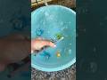 OPPO Reno 13 pro 5g Under water videography #opporeno13pro #watertesting #shorts #youtubeshorts