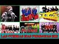 LAS CUMBIAS MAS PERRONAS MIX - RAYMIX - JALADO - ICC - KUAL - SON TEPITO - LOS DEAKINO