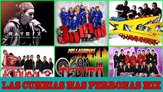 LAS CUMBIAS MAS PERRONAS MIX - RAYMIX - JALADO - ICC - KUAL - SON TEPITO - LOS DEAKINO