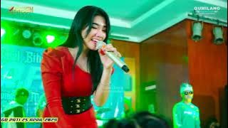 ZARIDEN MUSIC - TAJAMNYA KARANG - LUSYANA JELITA - HALAL BIHALAL MR.FISH - RM. SAPTORENGGO PATI