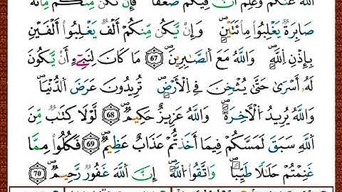 ختمة مصحف التجويد برواية قالون الصفحة رقم 185