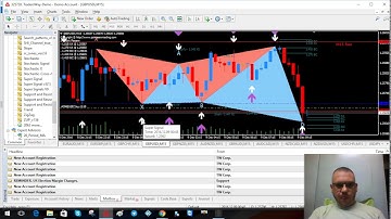 Easy Harmonic - Simple Strategy using a 15M chart