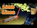 How to Catch Catfish on Limb Lines {Catch, Clean, and Cook}