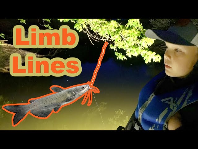 How to Catch Catfish on Limb Lines {Catch, Clean, and Cook