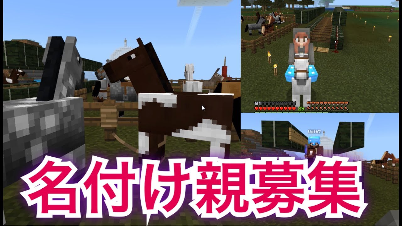 マインクラフト 馬速度チェッカ を使ってお気に入りの馬探し マイクラwin10実況 160 Youtube