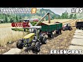 Selling silage bales, caring animals, selling milk, harvesting wheat | Erlengrat | FS 19 | ep #05