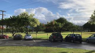 IMG 4534