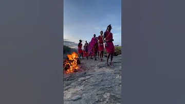 Kenyan Maasai Tribal Dancing In Masai Mara Kenya Shorts 