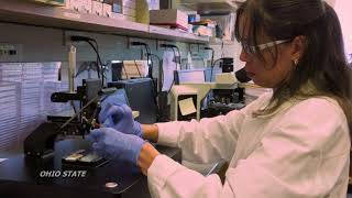 New Treatments Give Hope To People With Brain Tumors