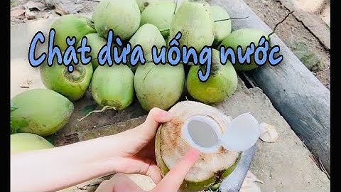 #27 Hướng dẫn cách chặt dừa uống nước NGHIỆP DƯ bởi Yến Thanh Vi Lốc
