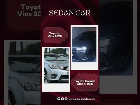 What Is Automotive Rentals Inc