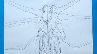 How to draw Mothra Flying | Godzilla X Kong The New Empire
