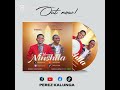 Perez YESU Ninshila Ft Highlinks Official Video 2026