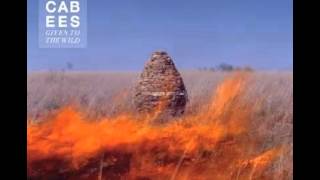 The Maccabees-Go