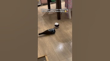 My sister is a crazy little robot 🤣💕 #robot #siblings #longdistance