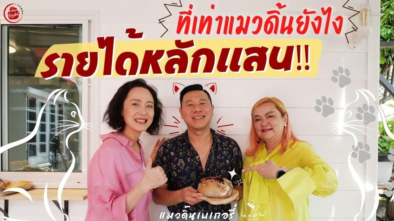 มีที่เท่าแมวดิ้นยังไง รายได้หลักแสน!