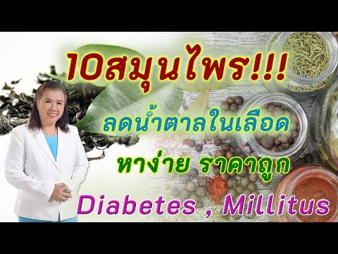 10 สมุนไพรลดน้ำตาลในเลือด หาง่าย ราคาถูก ได้ผลดีสุดๆ | diabetes millitus | พี่ปลา Healthy Fish