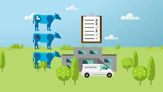 (EN) Alertys™ Milk Pregnancy Test from IDEXX: benefits of detecting throughout gestation