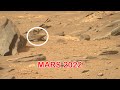 Mars Latest Image Live from Red Planet by Perseverance Rover