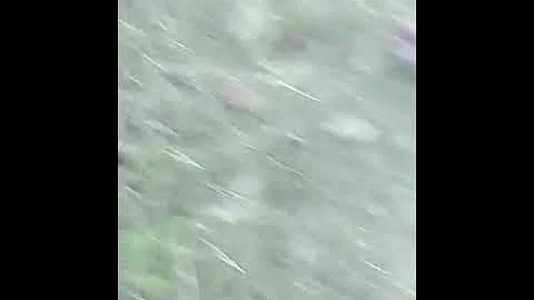 Slick meets his baby Sylvia for the first time!