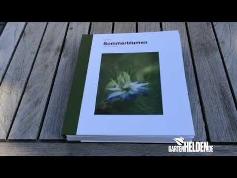 Video: Veilchen RS-Babylon (13 Fotos): Beschreibung Und Anbau Der Veilchensorte RS-Babylon, Beratung Durch Erfahrene Floristen