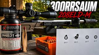 300RRSAUM 208ELD-M H4831sc 300RRSAUM 208ELD-M H4831sc