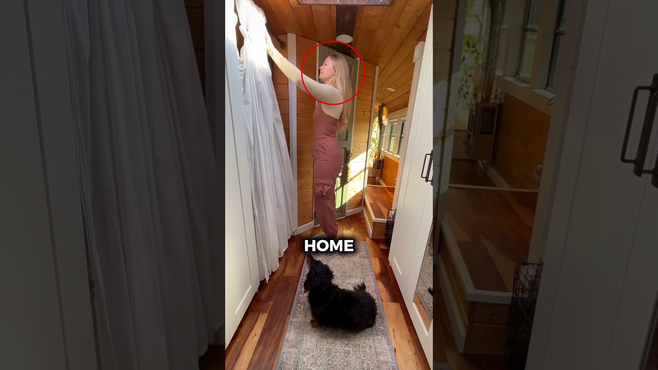 Living Rent Free in New York