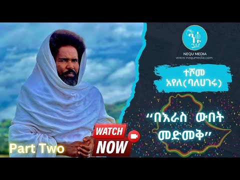 ተሾመ አየለ ባለሀገሩ Teshome Ayele Balehageru Part Two 