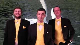 Shannon Oneill Is Invited To The Honeymen Present A Salute To Honey