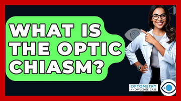 What Is The Optic Chiasm? - Optometry Knowledge Base