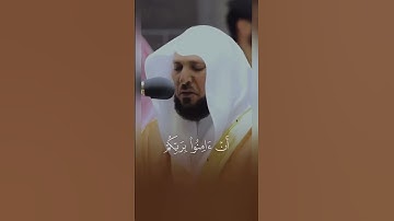 (ربنا إنك من تدخل النار فقد أخزيته) تلاوة خاشعة من سورة آل عمران القارئ ماهر المعيقلي