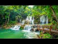 Relaxing music for stress relief anxiety and depressive states  heal mind body and soul