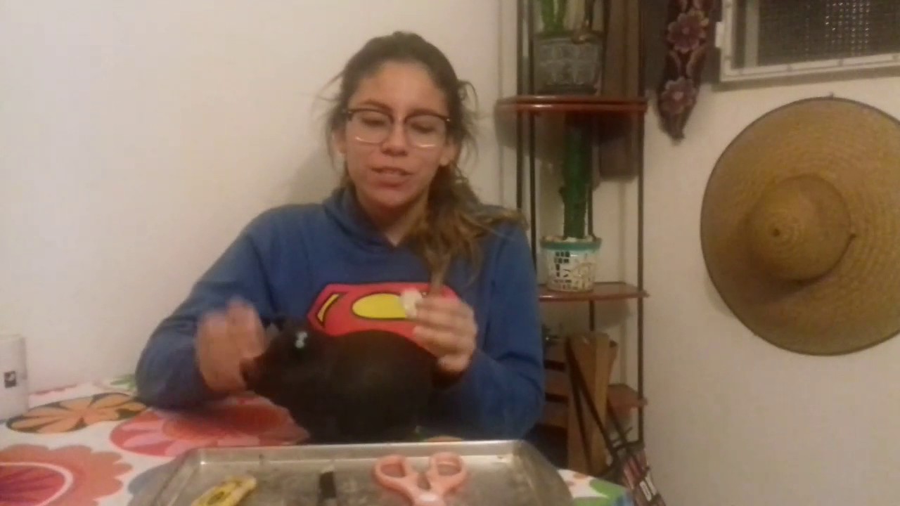 How to open your piggy bank YouTube