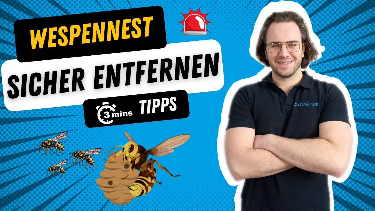Wespennest effektiv & sicher entfernen in 3 Minuten! 👈 Selber machen oder Profi fragen? 🆘