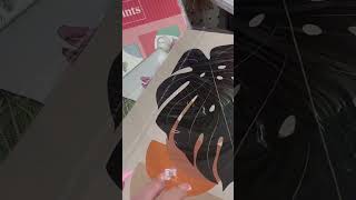 NEW GALLERY ART PRINTS 11X14 $1.50 @ DT #dollartree #wallart #shopping #art