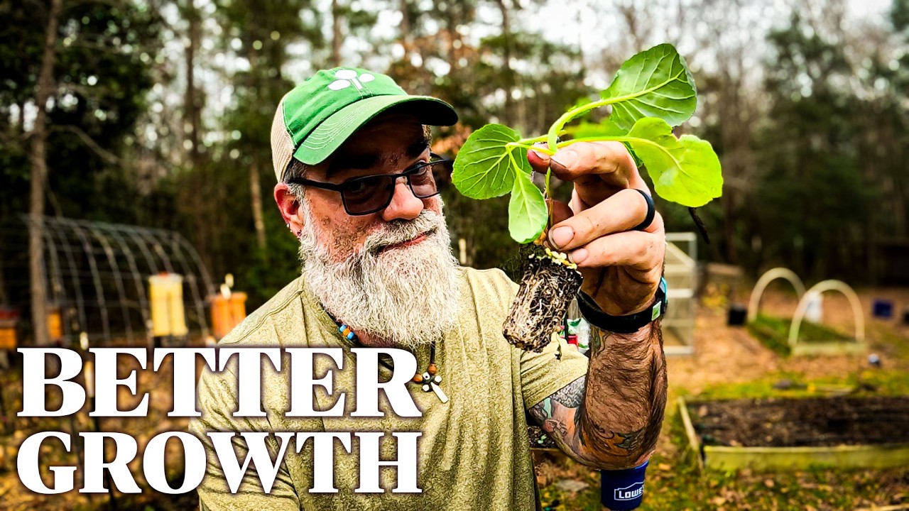 I planted like this and got much better growth