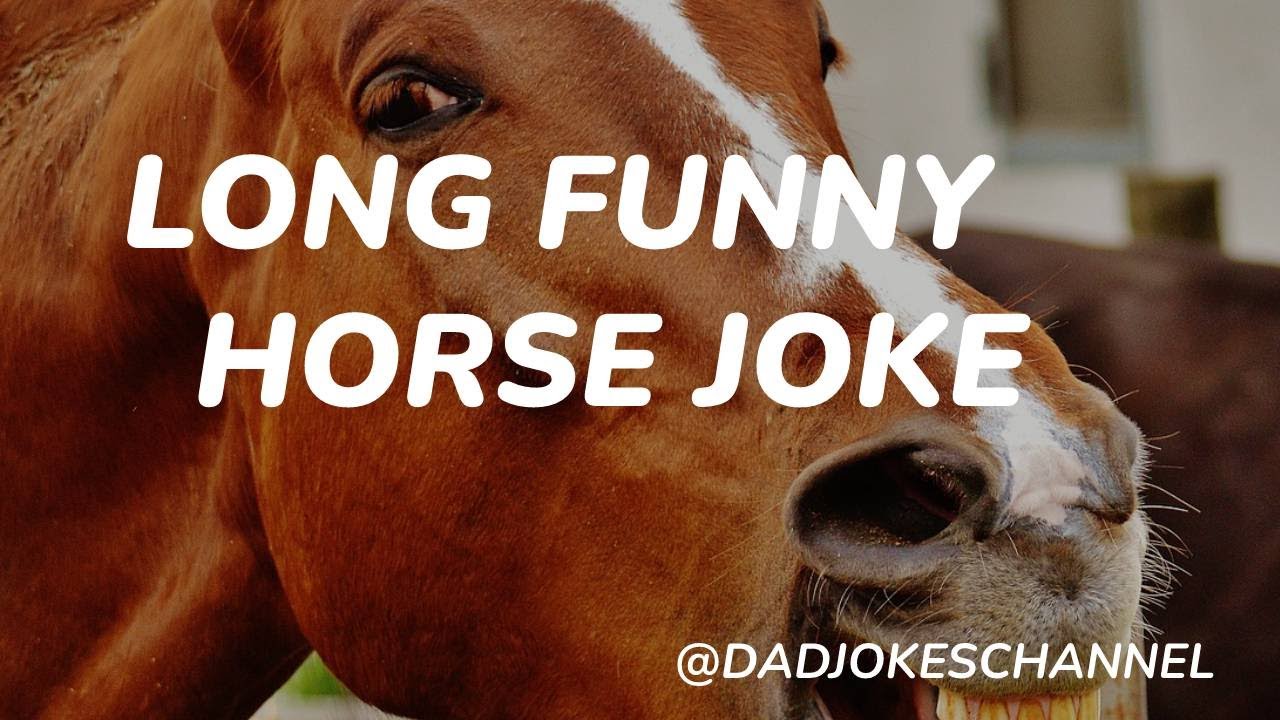 LONG FUNNY HORSE JOKE YouTube