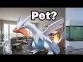 I Raised A Legendary Pokémon In Real Life (Lugia)